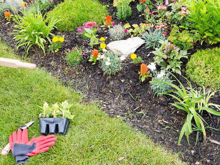 Pest Control and Landscaping: Tips for a Pest-Free Yard in Rockwall