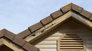 Protecting Your Home from Termite Damage in Wylie, Texas