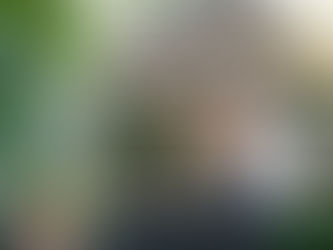 Pest Control Checklist for New Homeowners in Rockwall