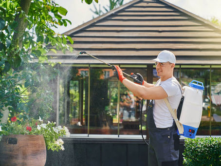 Pest Control Checklist for New Homeowners in Rockwall