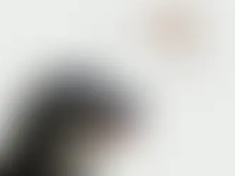 Comprehensive Flea Control Strategies for Irving Pet Owners