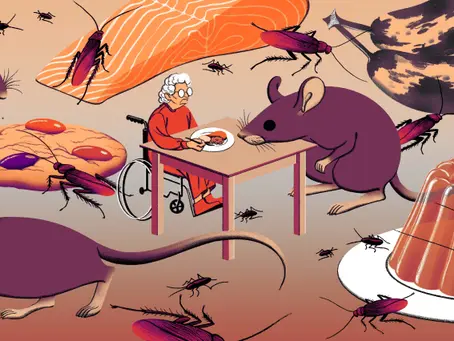 Maintaining a Roach-Free Environment in Rowlett Nursing Homes