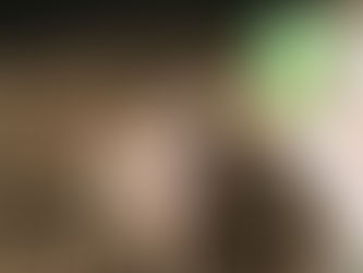 Keeping Pests at Bay: Essential Pest Control Tips for Pet Owners in Rowlett