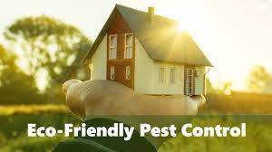 Eco-Friendly Pest Control Practices for Homes in New Hope, Texas