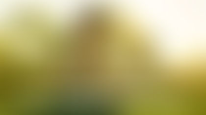 Eco-Friendly Pest Control Practices for Homes in New Hope, Texas