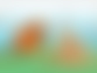 Tick and Flea Prevention for Rowlett Pet Owners: Effective Strategies