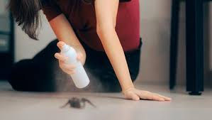 Effective Spider Control Solutions for Homes in New Hope, Texas