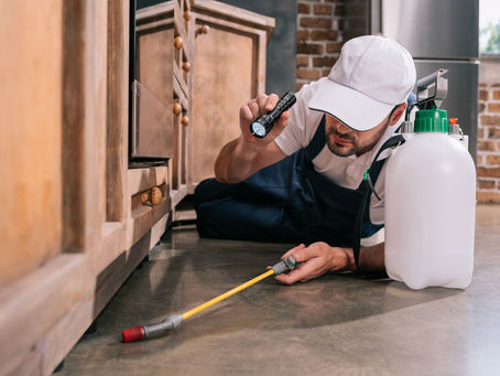 Pest Control Guide for New Homeowners in Melissa, Texas