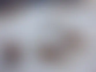 Emergency Pest Control Solutions in Royse City: Handling Unexpected Pest Crises