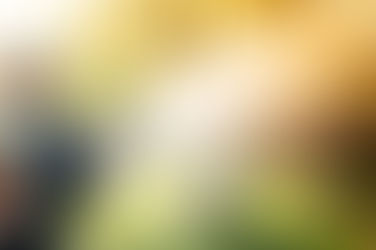 Effective Outdoor Pest Control Strategies for Kaufman Residents