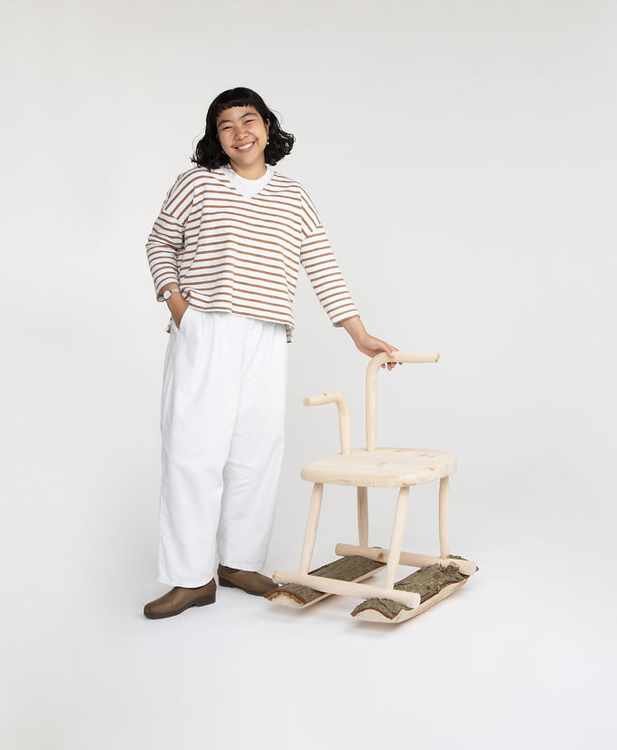 Furniture Designer