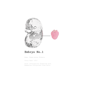 Mudai (London Design Festival 2023)