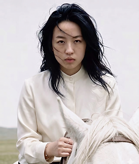 MengyingYang_Profile.png
