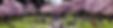 Screenshot 2024-07-20 at 8.15.54 AM.png