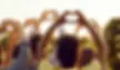 diverse hearts hands.webp