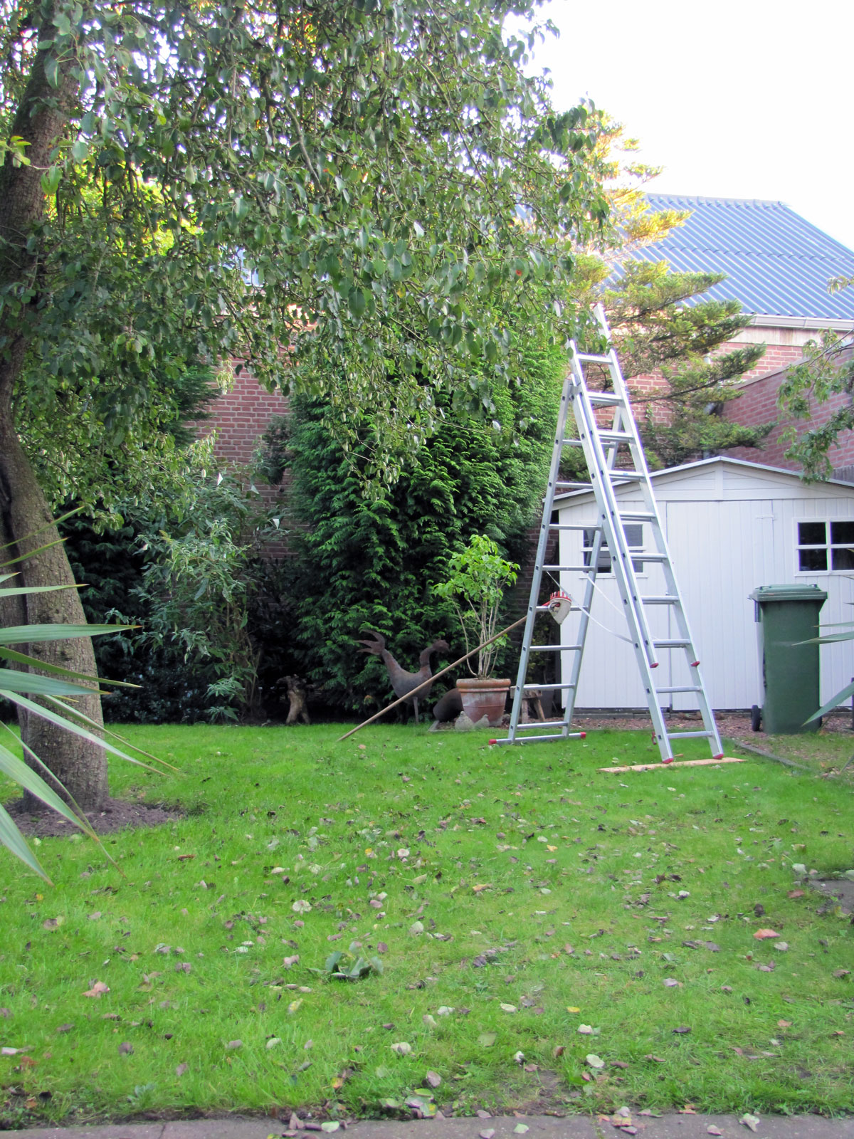 Najaar in de tuin