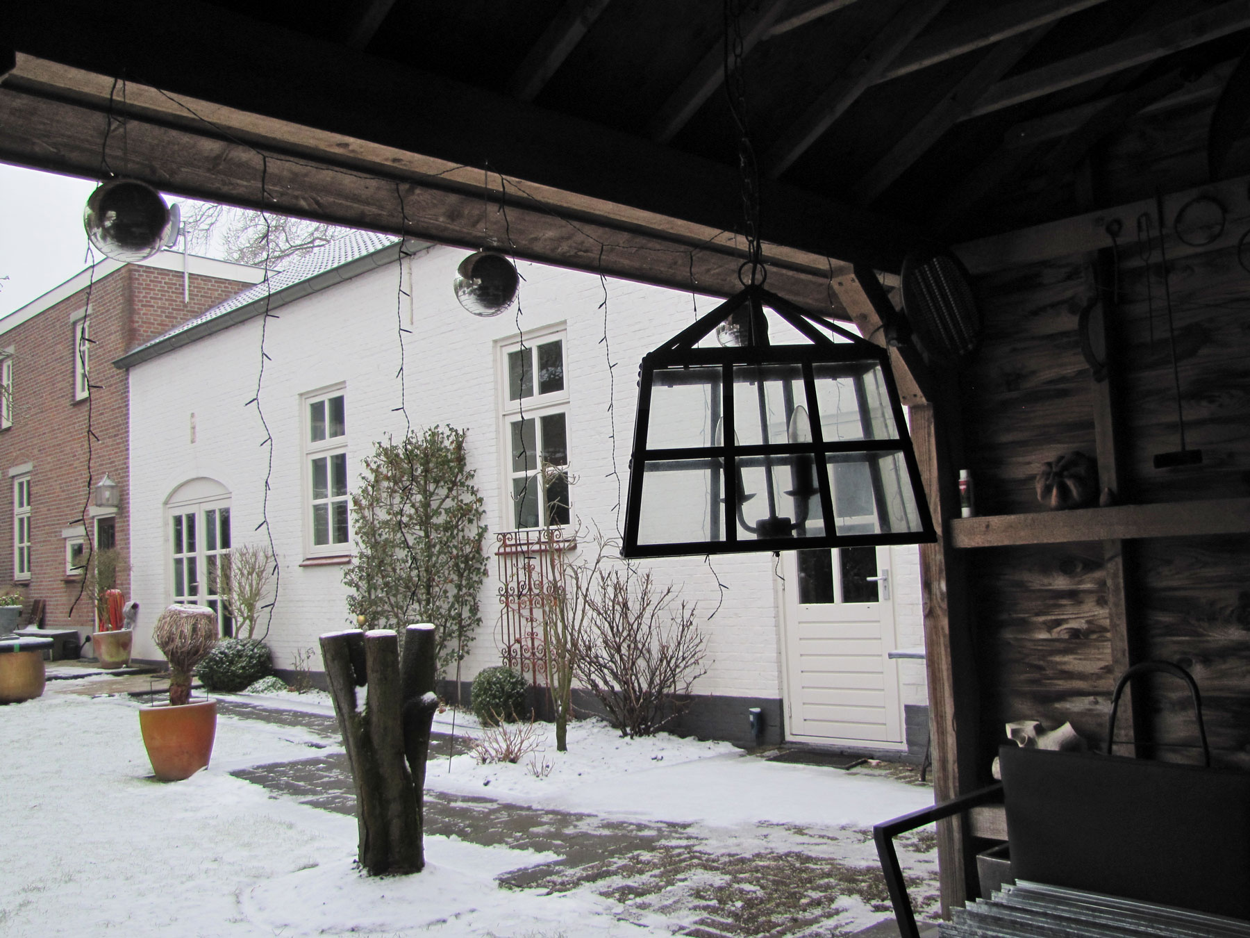 Winter in de tuin