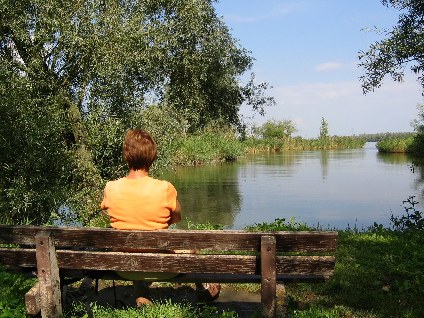 Nationaal Park De Biesbosch