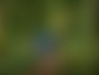 Young child walking through a lush forest alongside a friendly blue dragon, surrounded by trees and wildflowers.