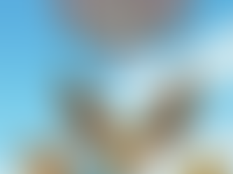 children’s phoenix story Picture Book About Courage and Starting Again