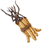 Thumbnail: Focus Fuel: Cordyceps