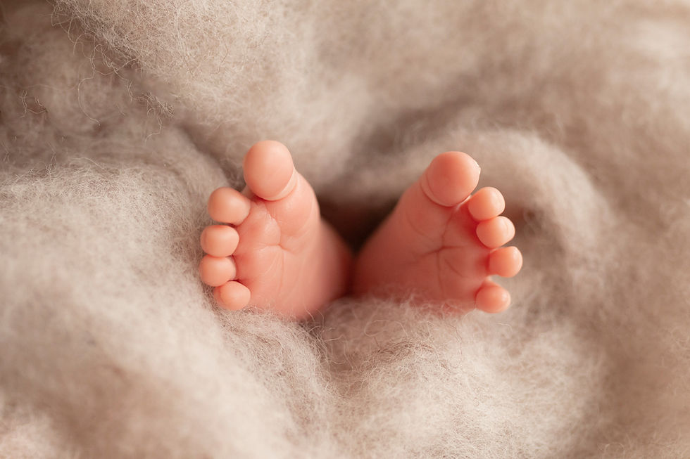 petits-fotografia-7188.jpg