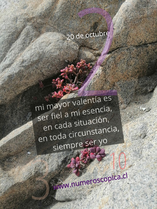 miércoles 20 de octubre