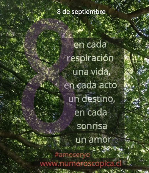 8 de septiembre