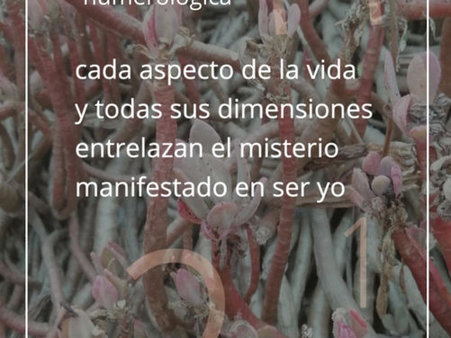 29 de enero