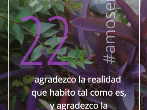 22 de enero
