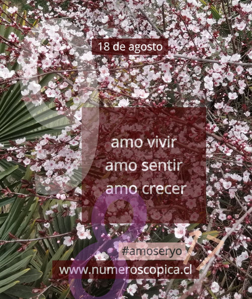 18 de agosto