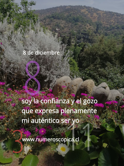 miércoles 8 de diciembre