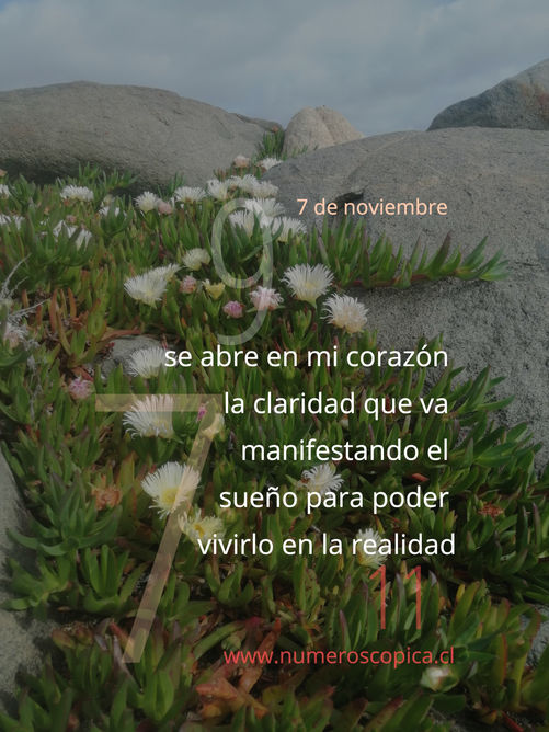 domingo 7 de noviembre