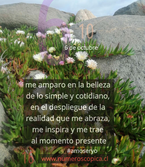 6 de octubre