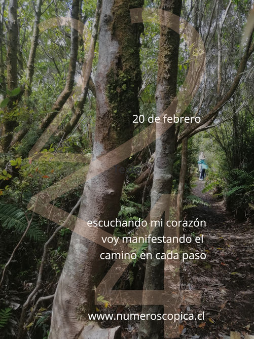 domingo 20 de febrero