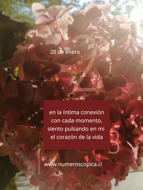 jueves 20 de enero