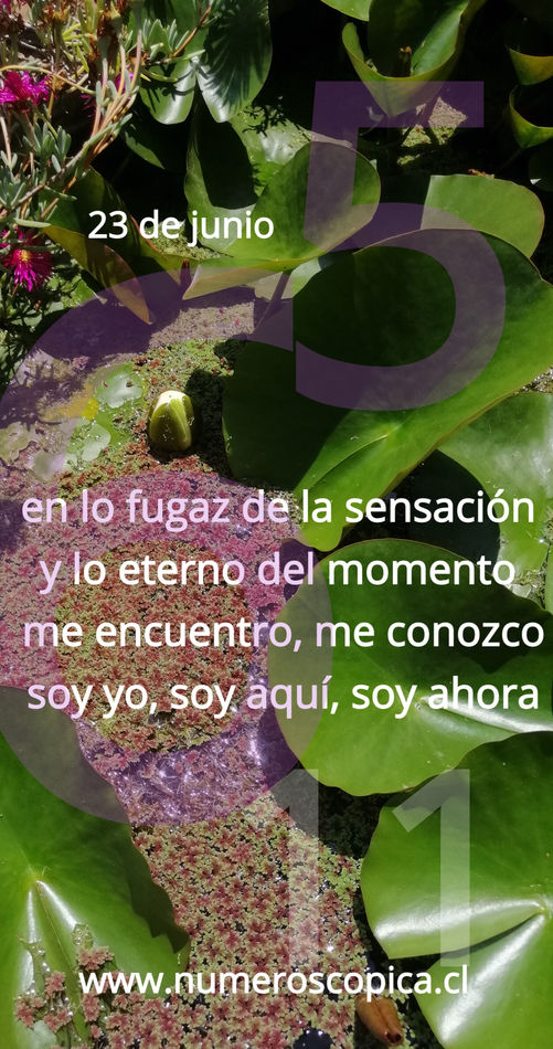 miércoles 23 de junio
