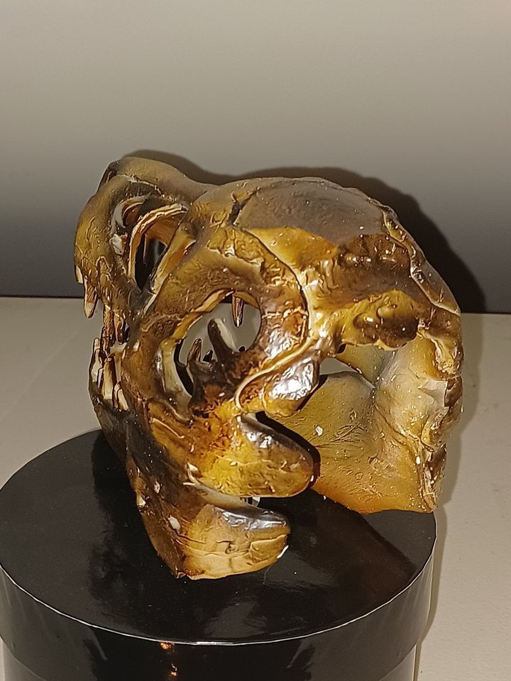 Thumbnail: 1 Amazing Replica Dinosaur Skull Resin Jurassic Theme