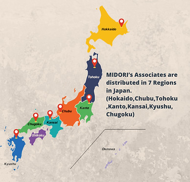 Distribution of Midori Associates.jpg