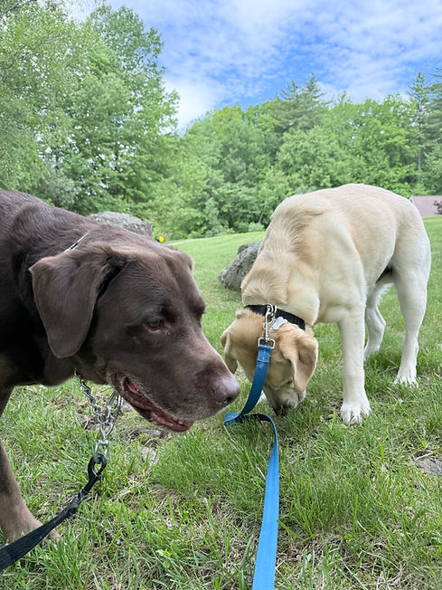 IMG_7863.jpeg