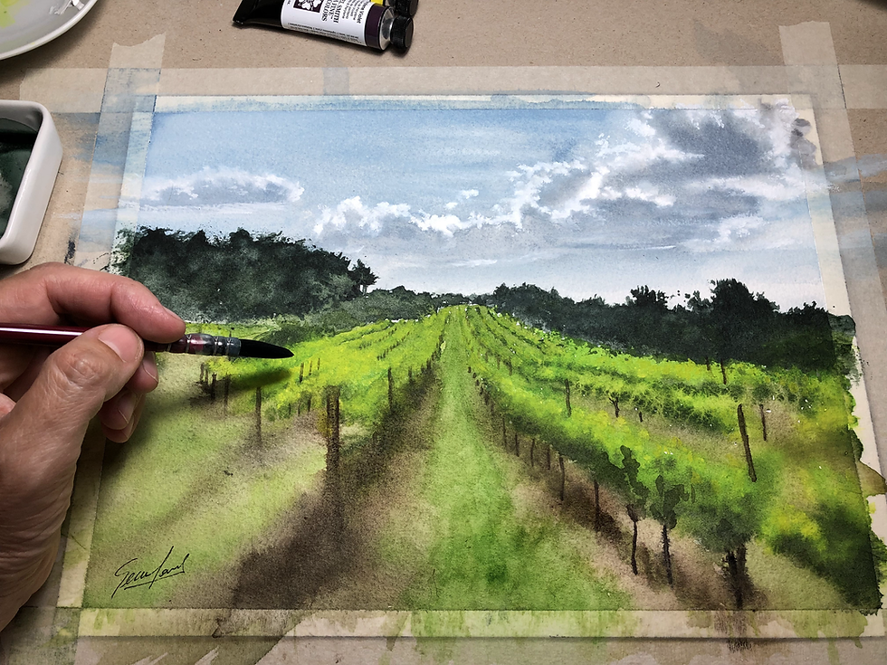 Miniatura: VIÑEDOS