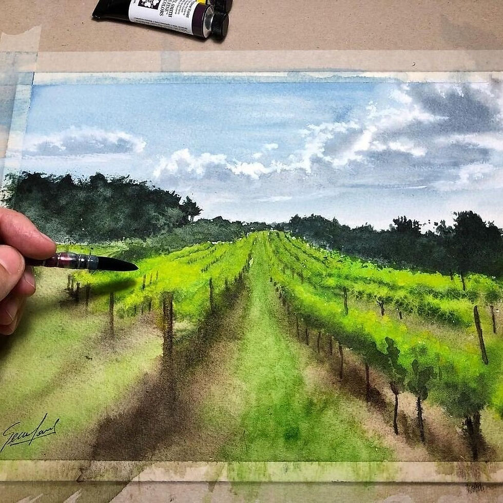 Miniatura: VIÑEDOS