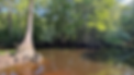 harpers ferry1.png