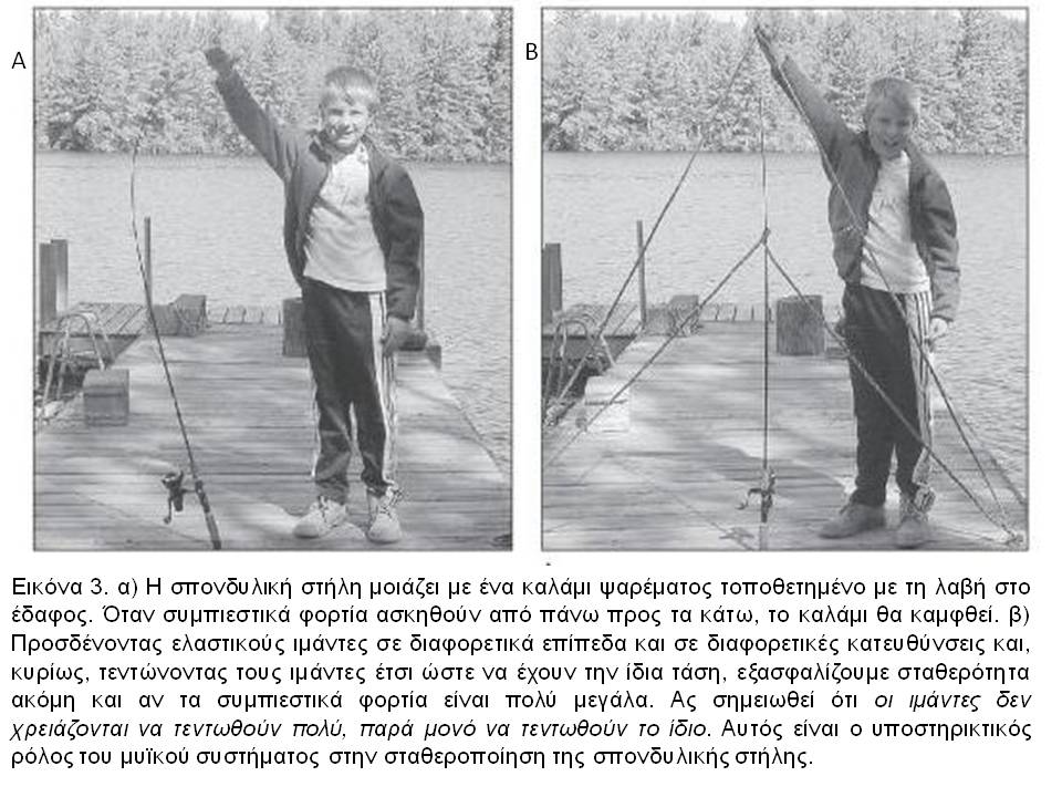 core stability training