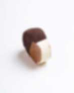 Madagascar vanilla ice cream sandwich with oatmeal cookie and dark chocolate coating