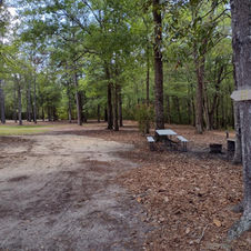 Site 11 is a basic, spacious campsite with water and electricity.