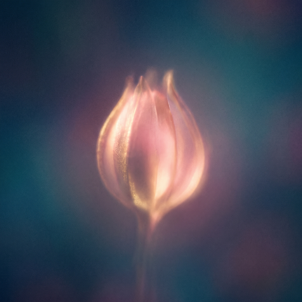 A luminous nature-like form suggesting the meaning of a photo
