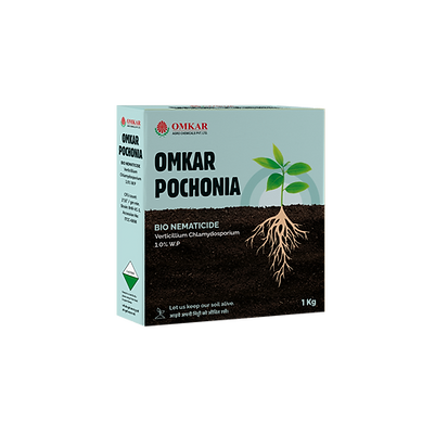 Omkar Pochonia