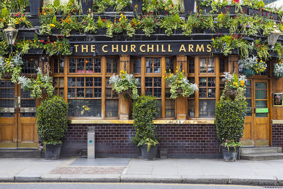 PUBS & BARS