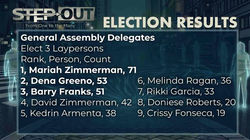 Election Results GA Laypersons